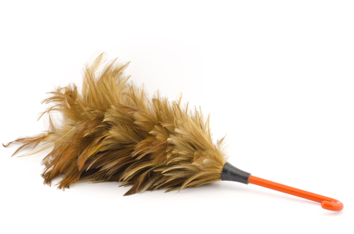 feather duster
